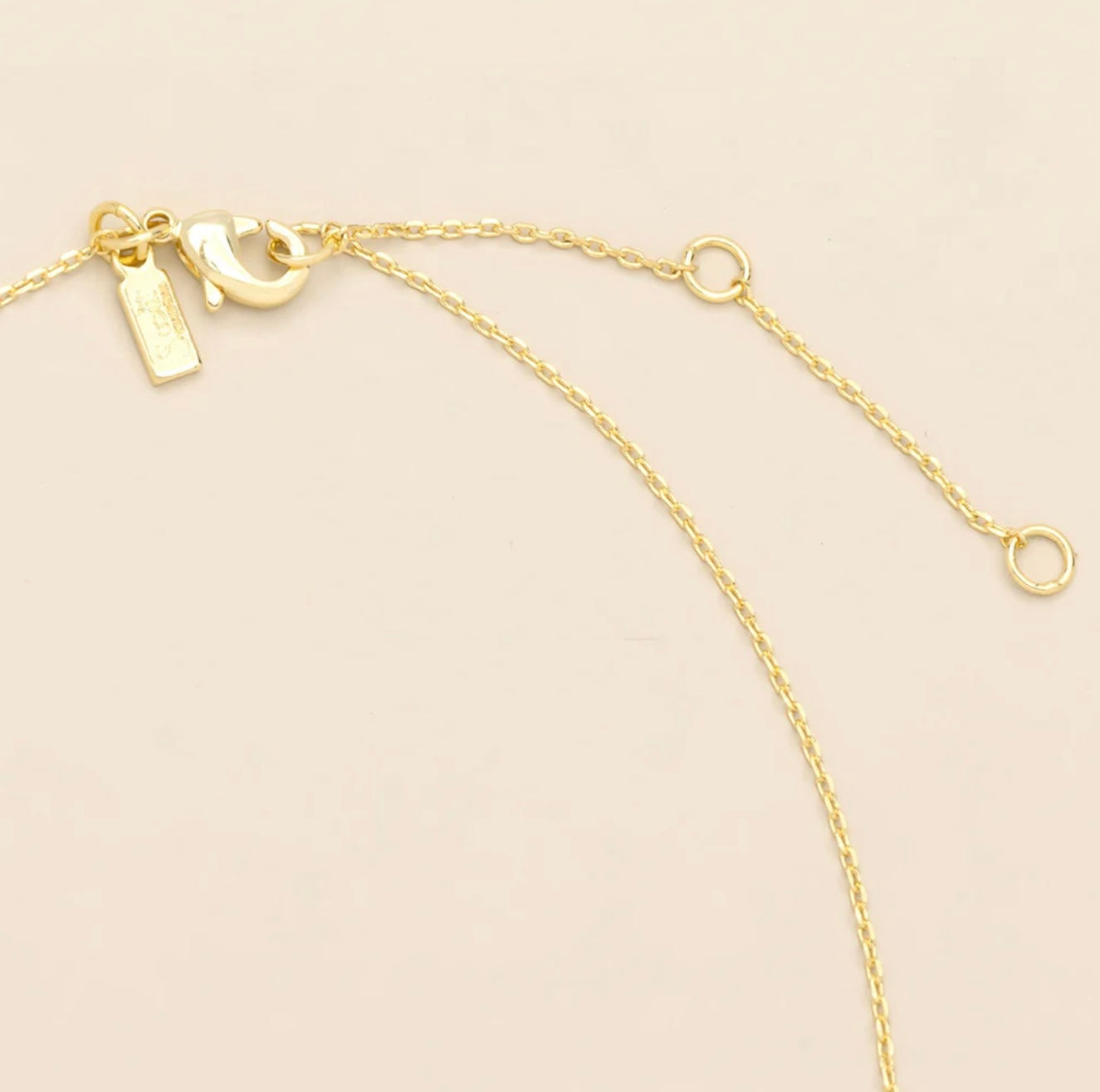 Scout- Pressed Flower Necklace- Cherry Blossom