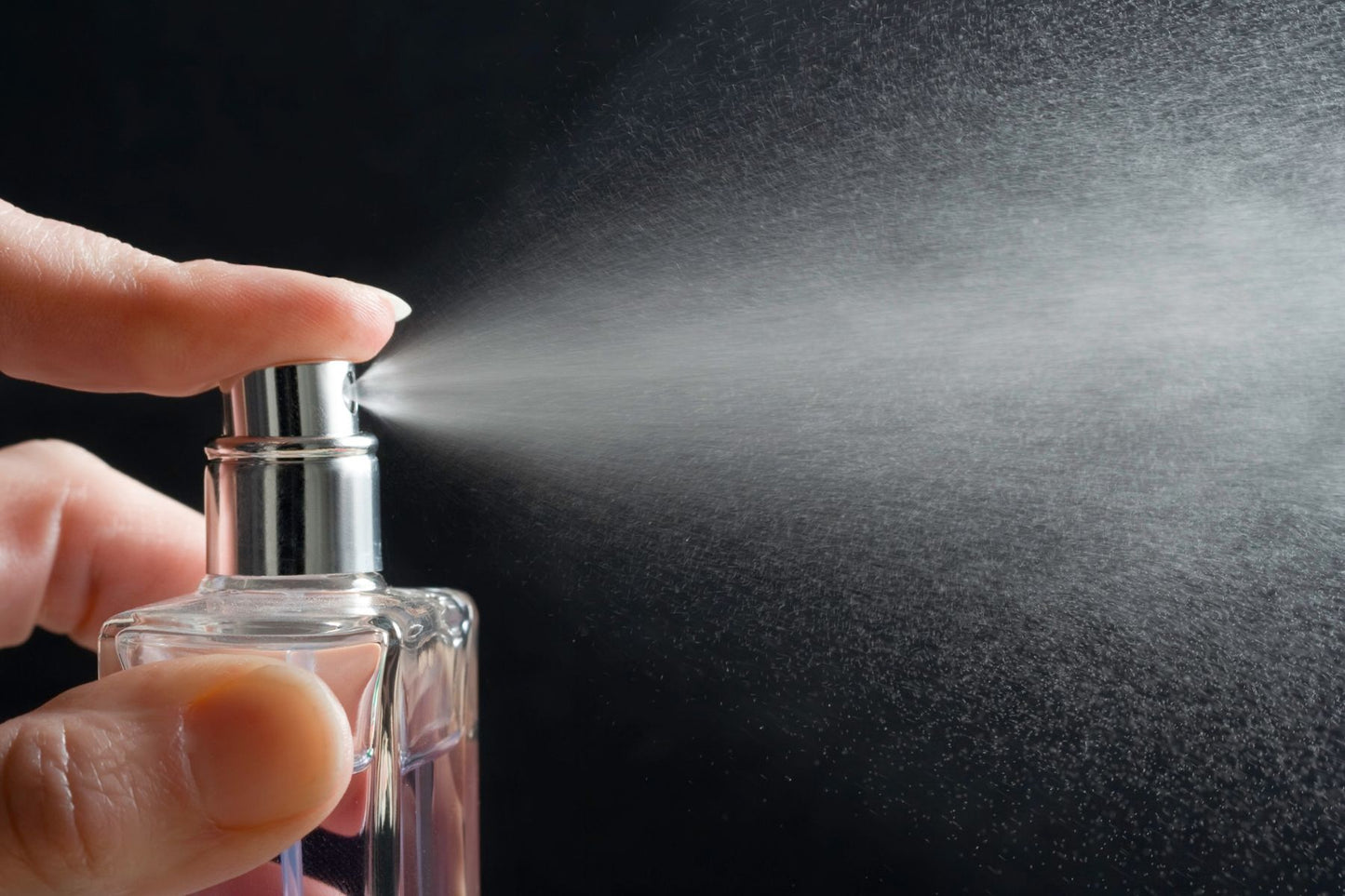 Bewitch & Blend Eau de Toilette