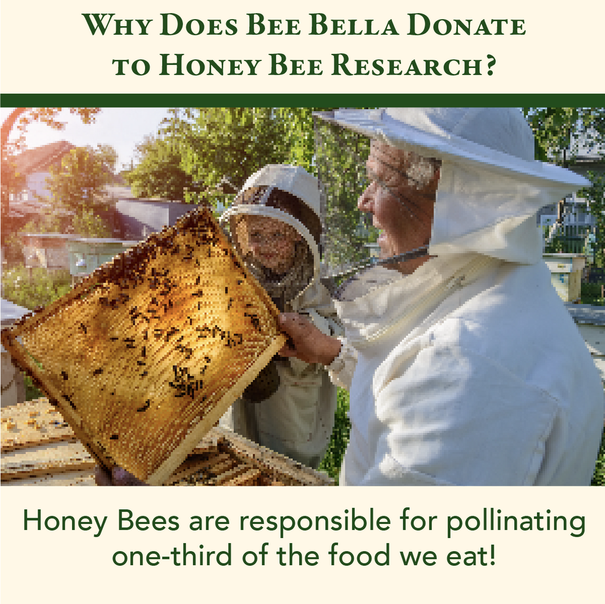Bee Bella - Cherry Lip Balm | 6-Pack