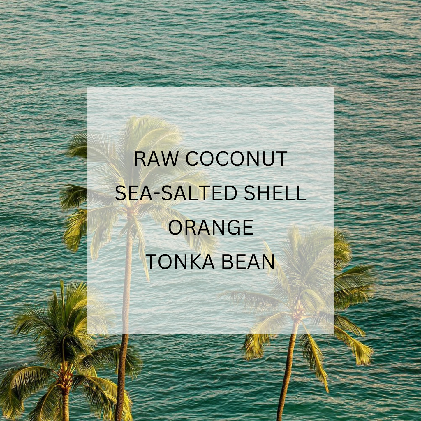 Solisea - TROPIX Roller Oil Perfume • Raw Coconut & Tonka : Travel / Mini