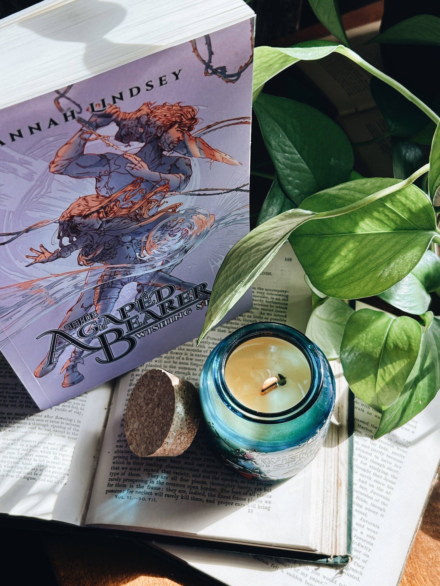 Fablewood Goods - Wishing Stars | 8oz Apothecary Soy Candle