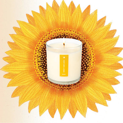 KOBO - Sweet Sunflower - Plant the Box Candle - 9oz.