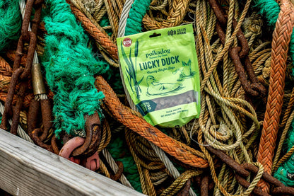 Polkadog - Lucky Duck (Bone Shaped) - 7oz - Dog Treats