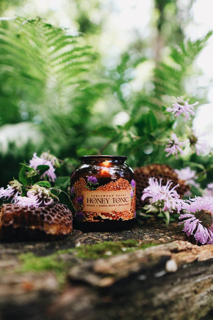Fablewood Goods - Honey Tonic | 8oz Apothecary Soy Candle | Wild Beragmot, Honey and Tonka