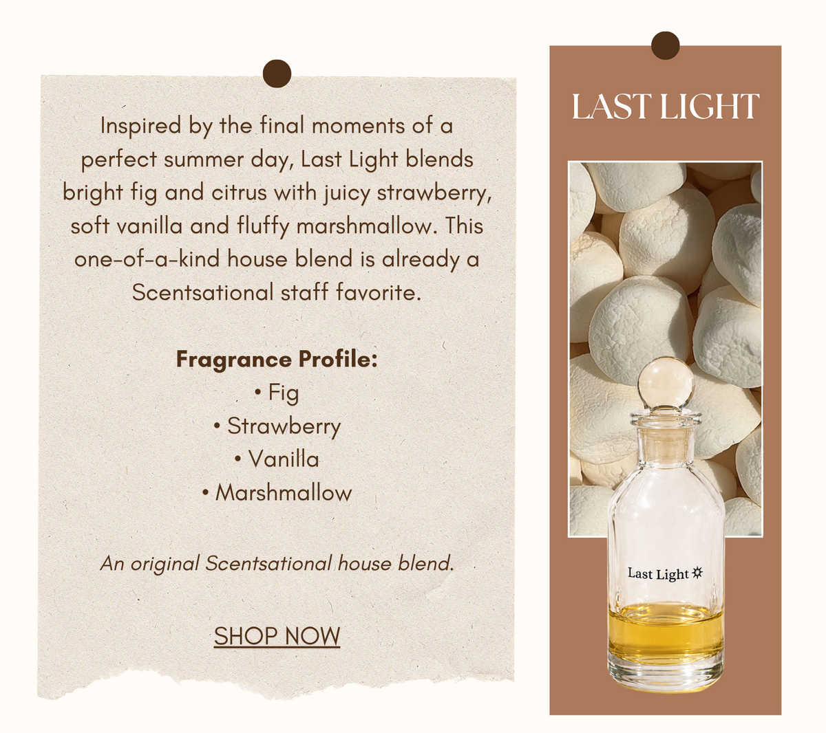 New Fragrance Sampler