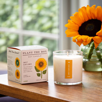 KOBO - Sweet Sunflower - Plant the Box Candle - 9oz.