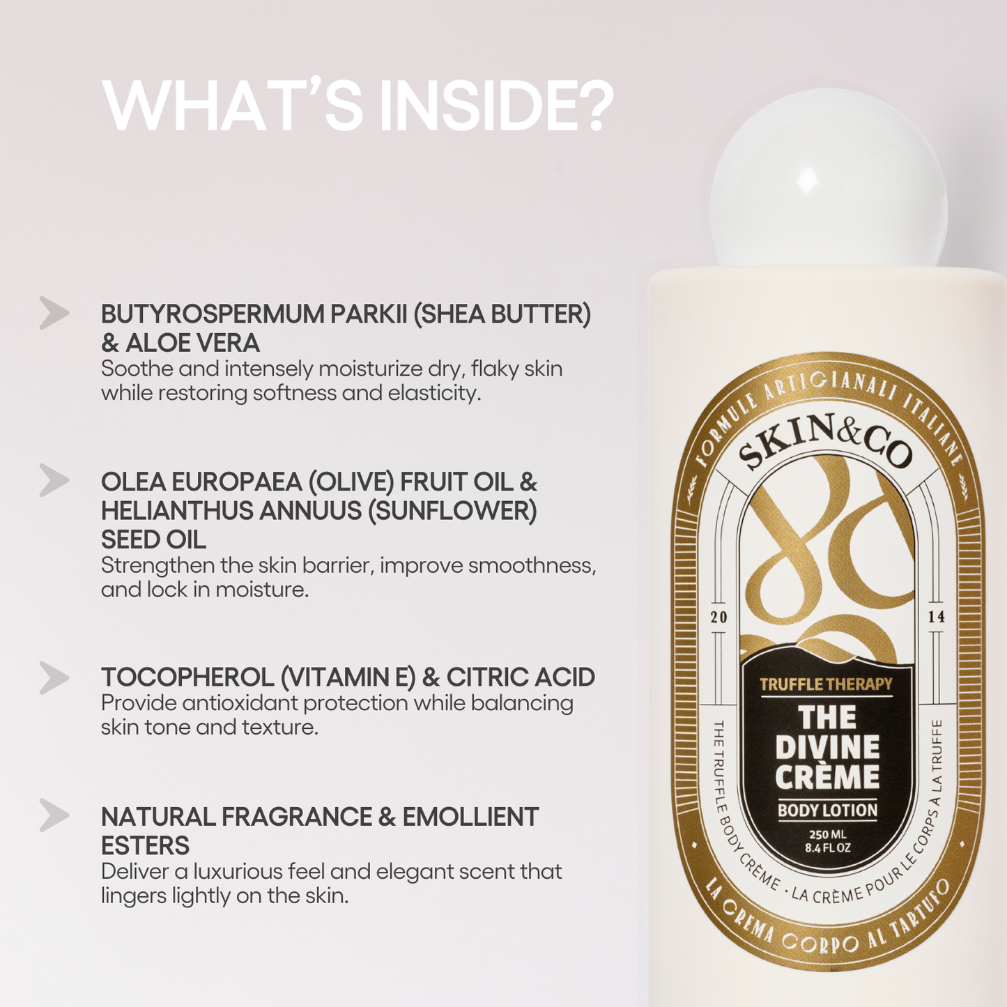SKIN&CO Roma - The Divine Crème