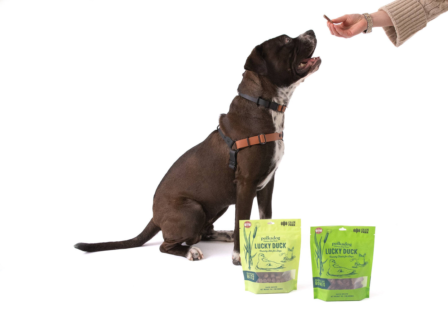 Polkadog - Lucky Duck (Bone Shaped) - 7oz - Dog Treats
