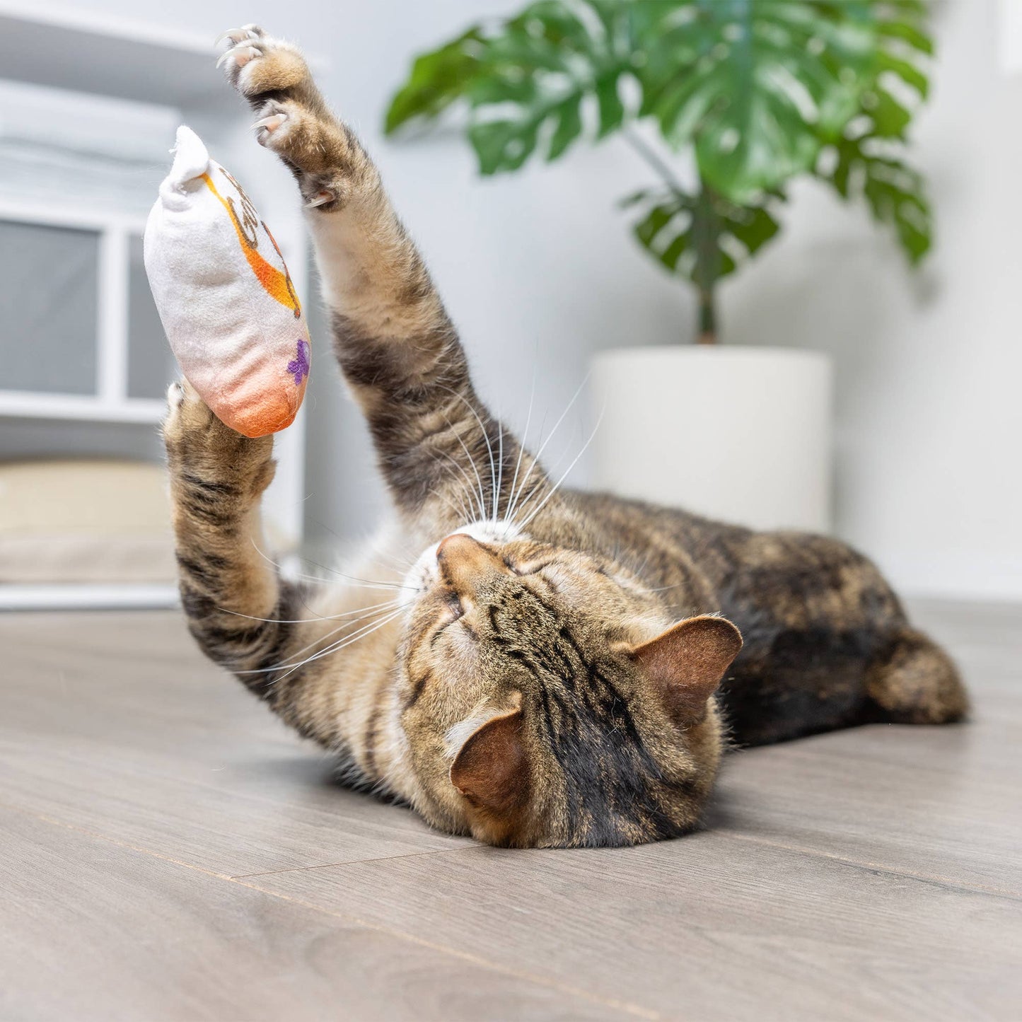 Huxley & Kent - Go Fish Phishy Cat Toy: One Size