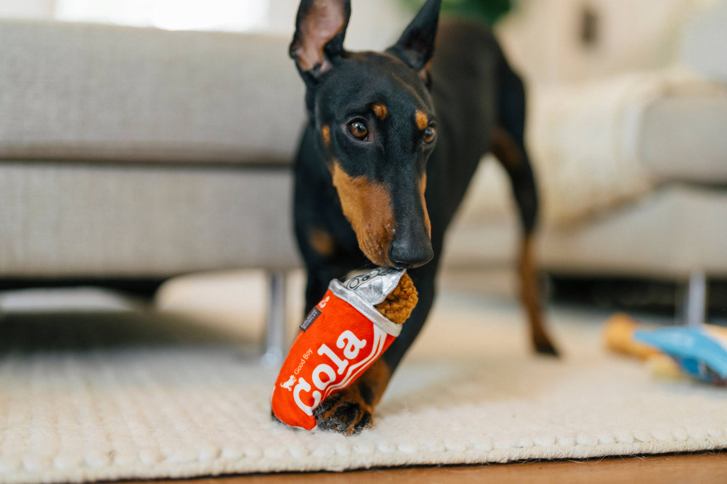 Play Pet Brands - Snack Attack Collection - MINI