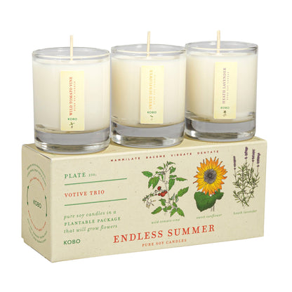 KOBO - Endless Summer - Plant the Box Votive Candle Trio
