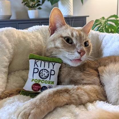 Huxley & Kent - Kitty Pop Cat Toy