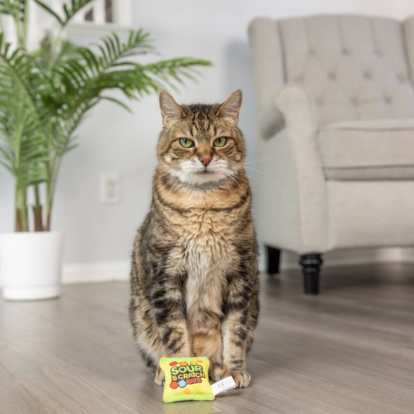 Huxley & Kent - Sour Scratch Kats Cat Toy