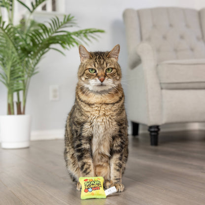 Huxley & Kent - Sour Scratch Kats Cat Toy