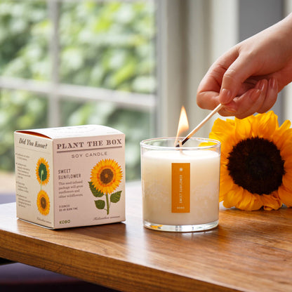 KOBO - Sweet Sunflower - Plant the Box Candle - 9oz.
