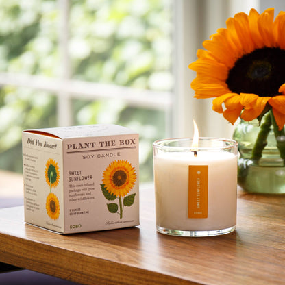 KOBO - Sweet Sunflower - Plant the Box Candle - 9oz.