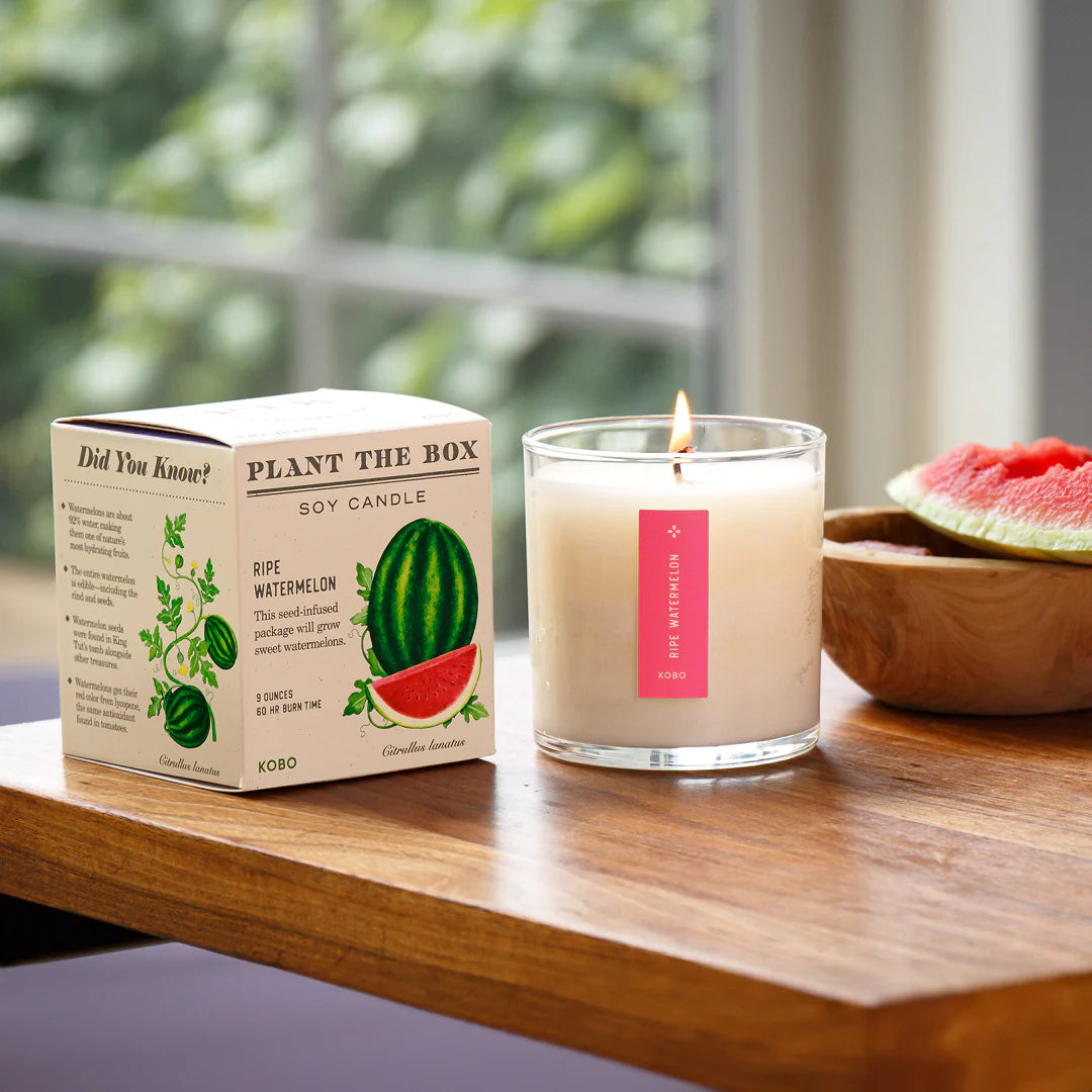 KOBO - Ripe Watermelon - Plant the Box Candle - 9oz.