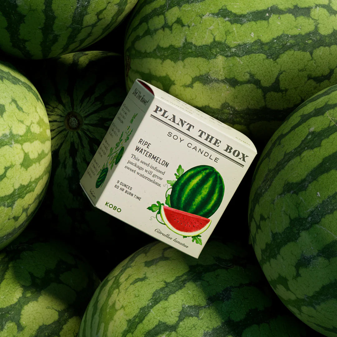 KOBO - Ripe Watermelon - Plant the Box Candle - 9oz.