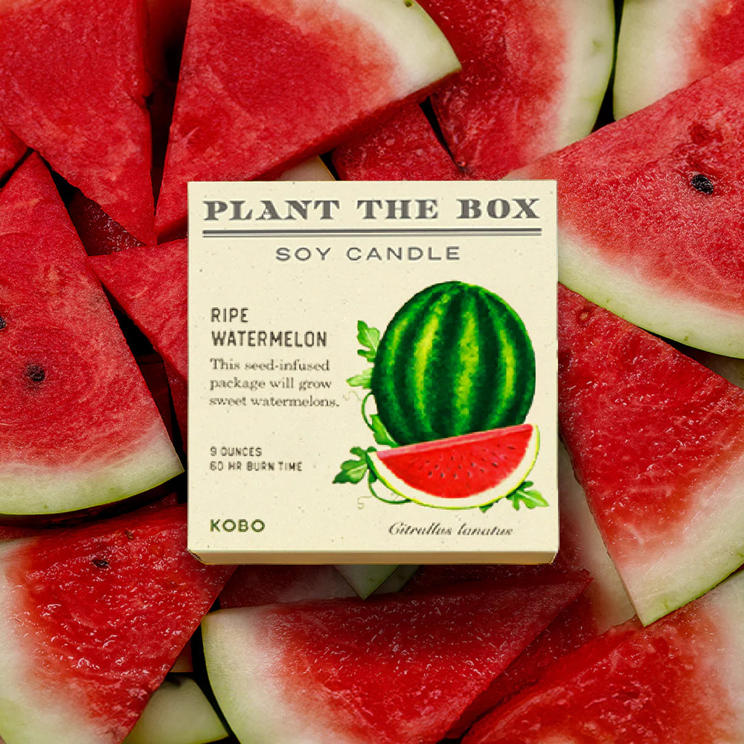 KOBO - Ripe Watermelon - Plant the Box Candle - 9oz.