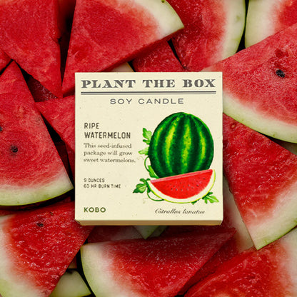 KOBO - Ripe Watermelon - Plant the Box Candle - 9oz.