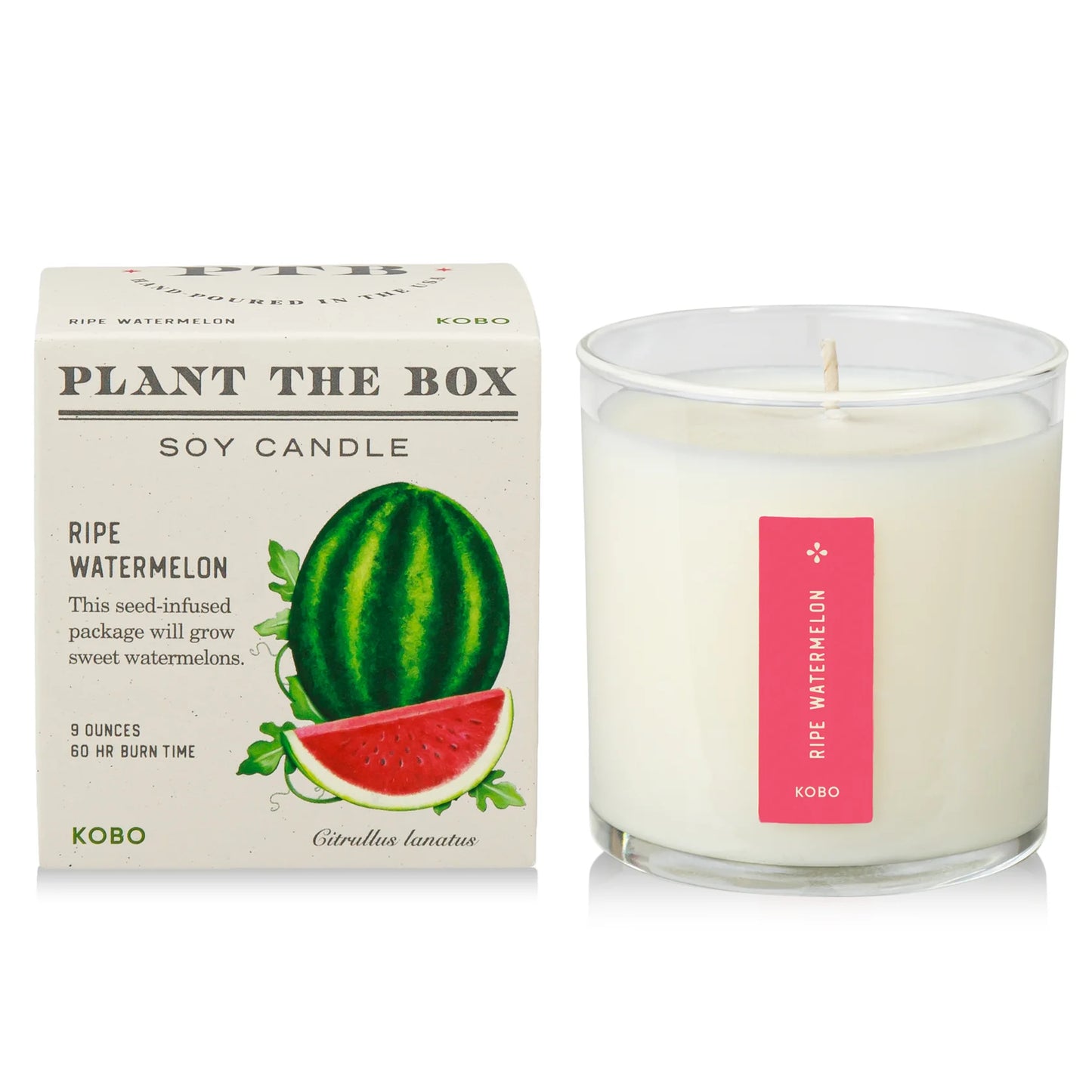 KOBO - Ripe Watermelon - Plant the Box Candle - 9oz.