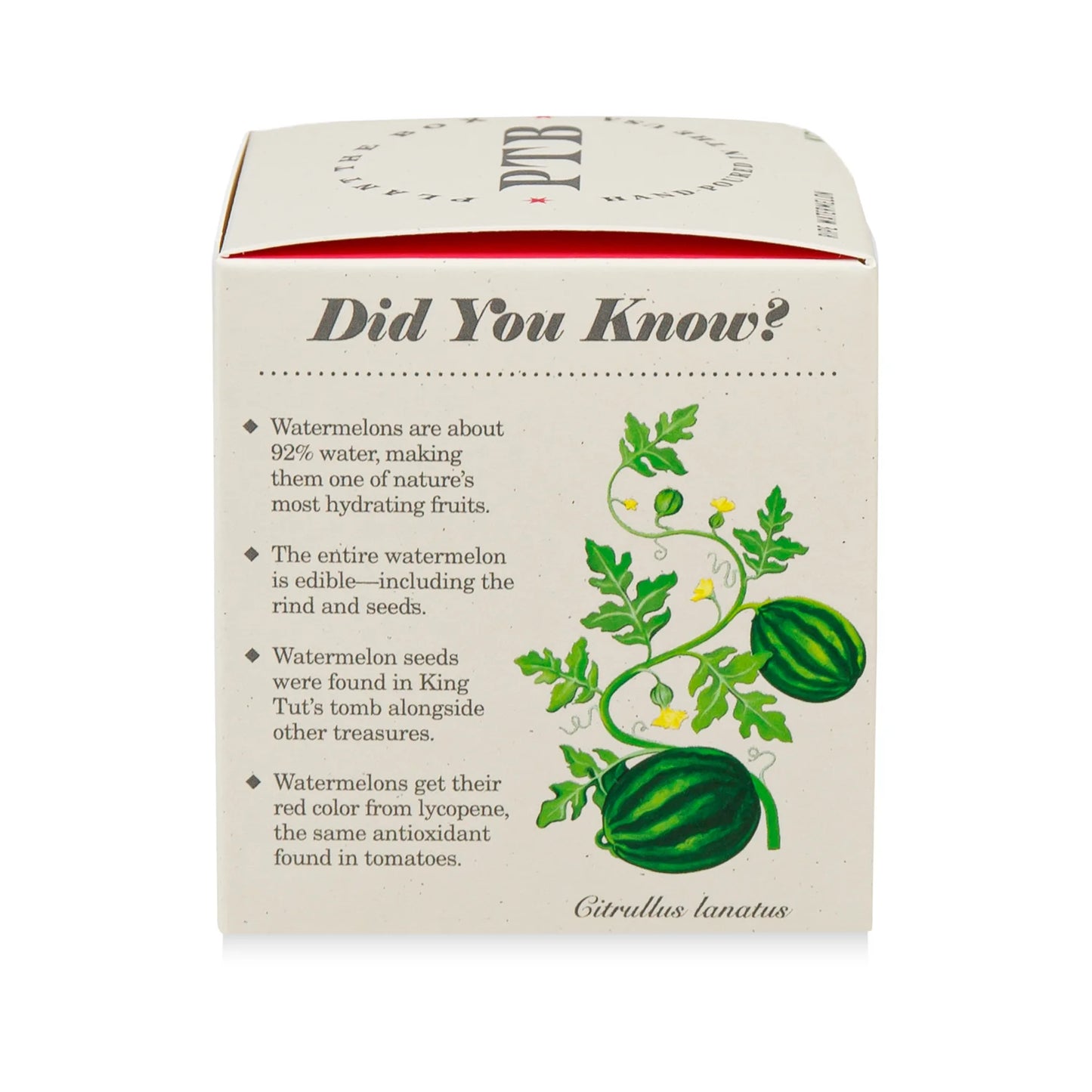 KOBO - Ripe Watermelon - Plant the Box Candle - 9oz.