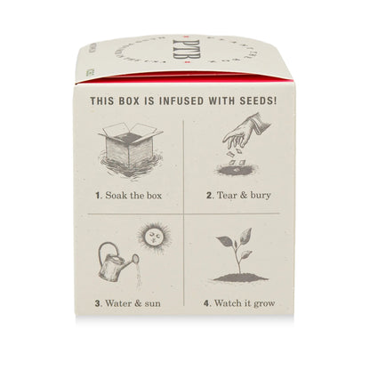 KOBO - Ripe Watermelon - Plant the Box Candle - 9oz.