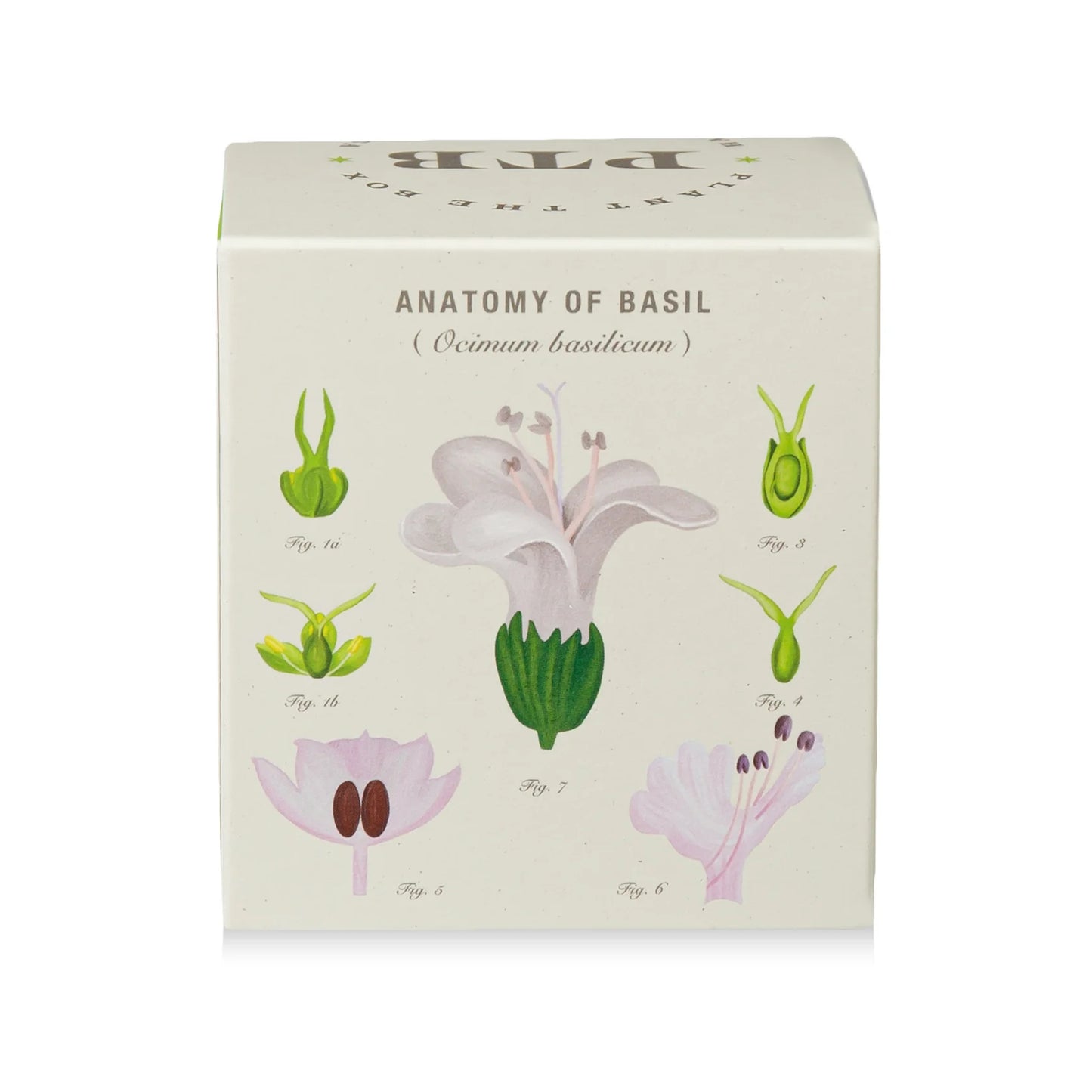 KOBO - Fresh Picked Basil - Plant the Box Candle - 9oz.
