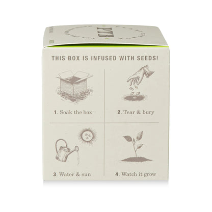 KOBO - Fresh Picked Basil - Plant the Box Candle - 9oz.