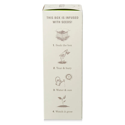 KOBO - Fresh Picked Basil - Plant the Box Diffuser - 4oz