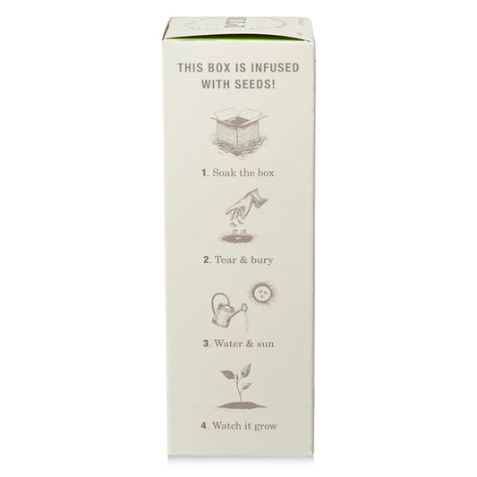 KOBO - Fresh Picked Basil - Plant the Box Diffuser - 4oz