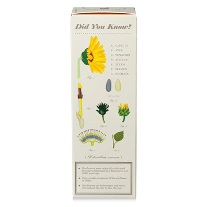 KOBO - Sweet Sunflower - Plant the Box Diffuser - 4oz