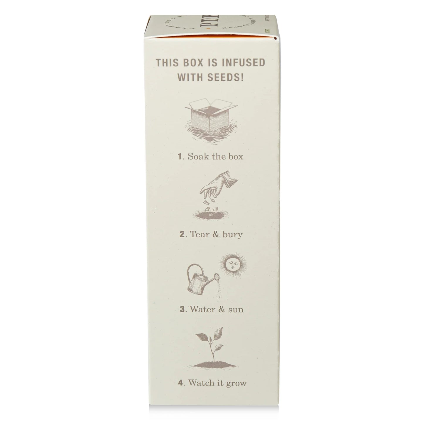 KOBO - Sweet Sunflower - Plant the Box Diffuser - 4oz