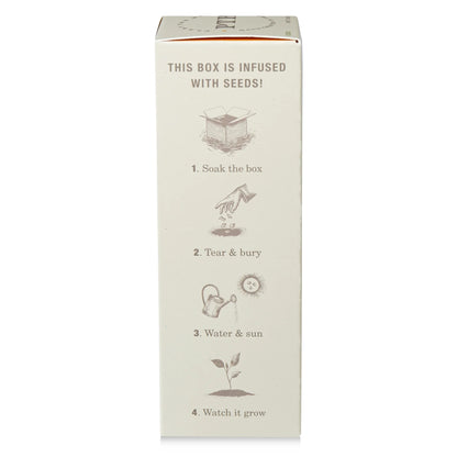 KOBO - Sweet Sunflower - Plant the Box Diffuser - 4oz