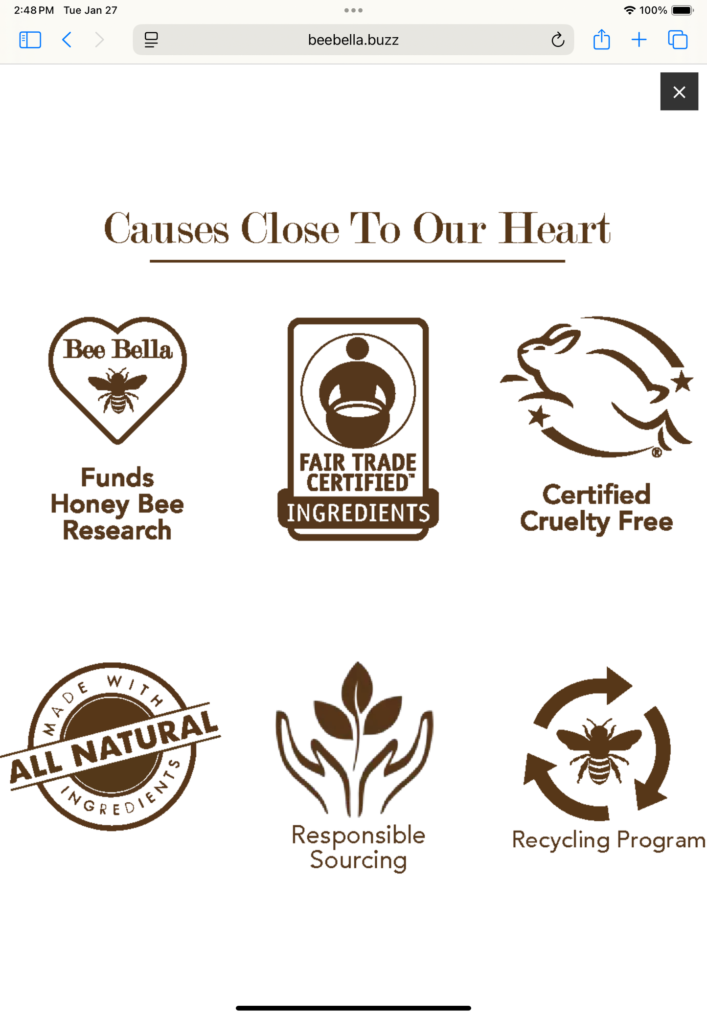 Bee Bella- Peppermint Lip Balm