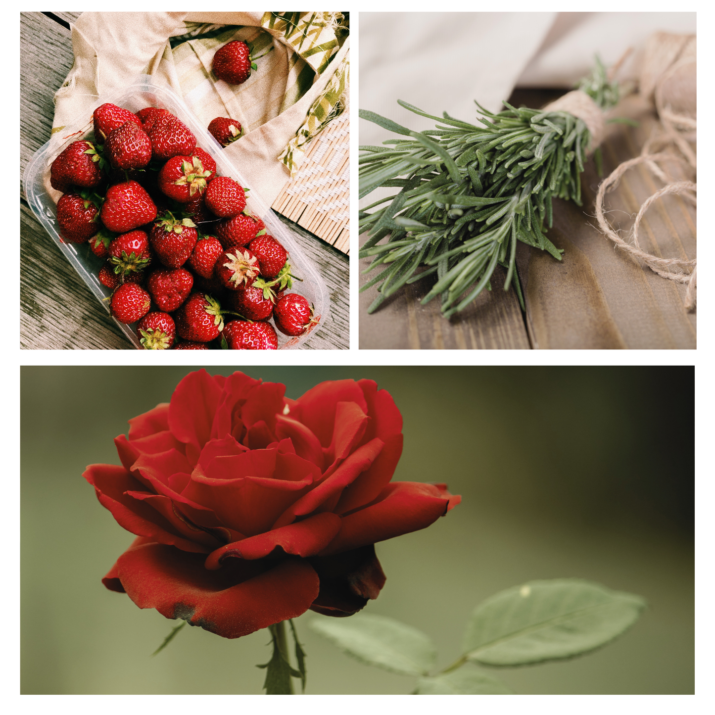 Simmer and Co Natural Aroma - Holiday | Be Celebrated Simmer Pot Mix, Stovetop Potpourri