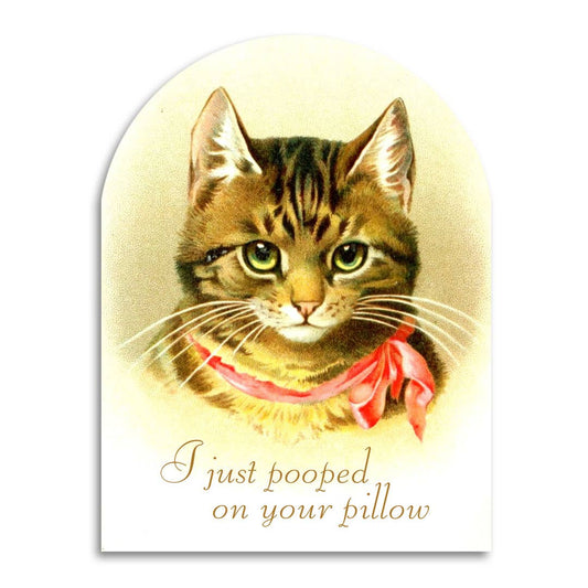 Bad Betty Greeting Co. - I Just Pooped on Your Pillow - Funny Cat Lover Card