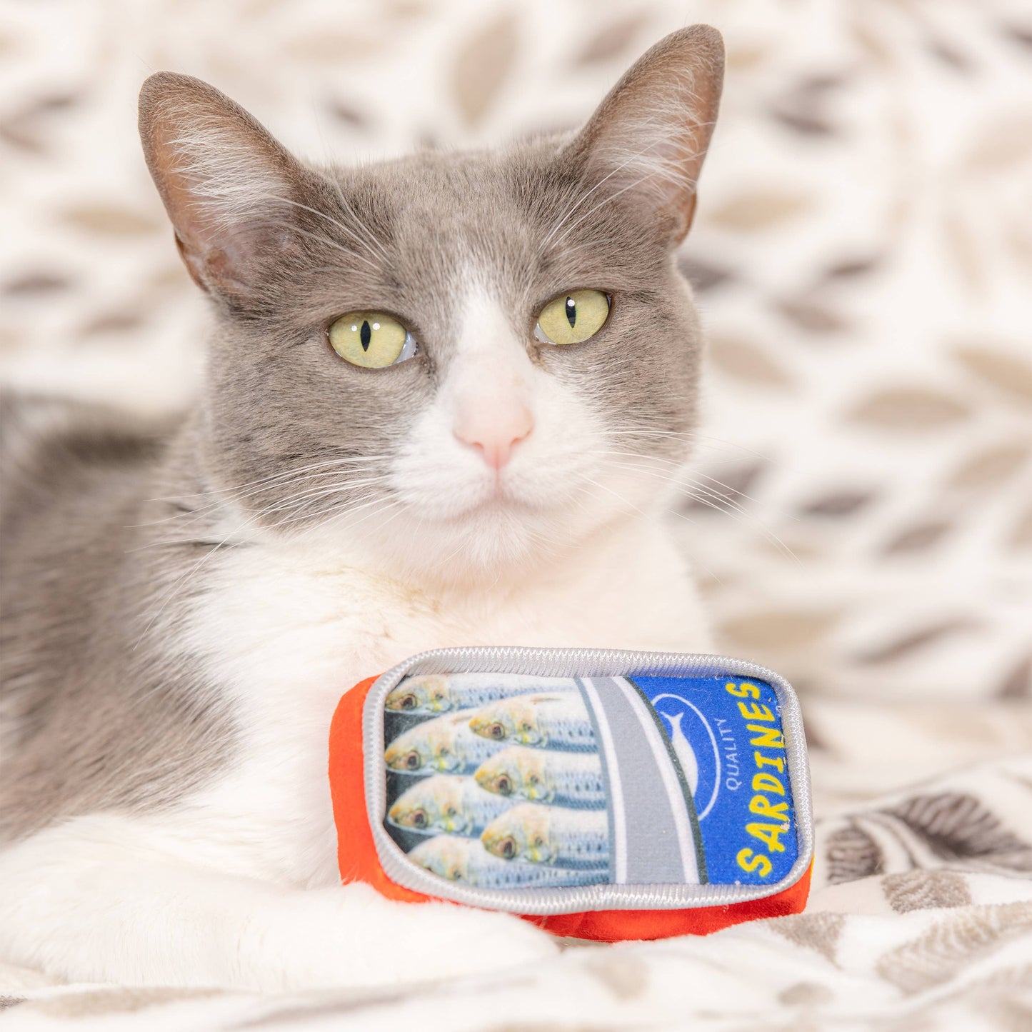 Huxley & Kent - Sardine Tin Cat Toy: One Size