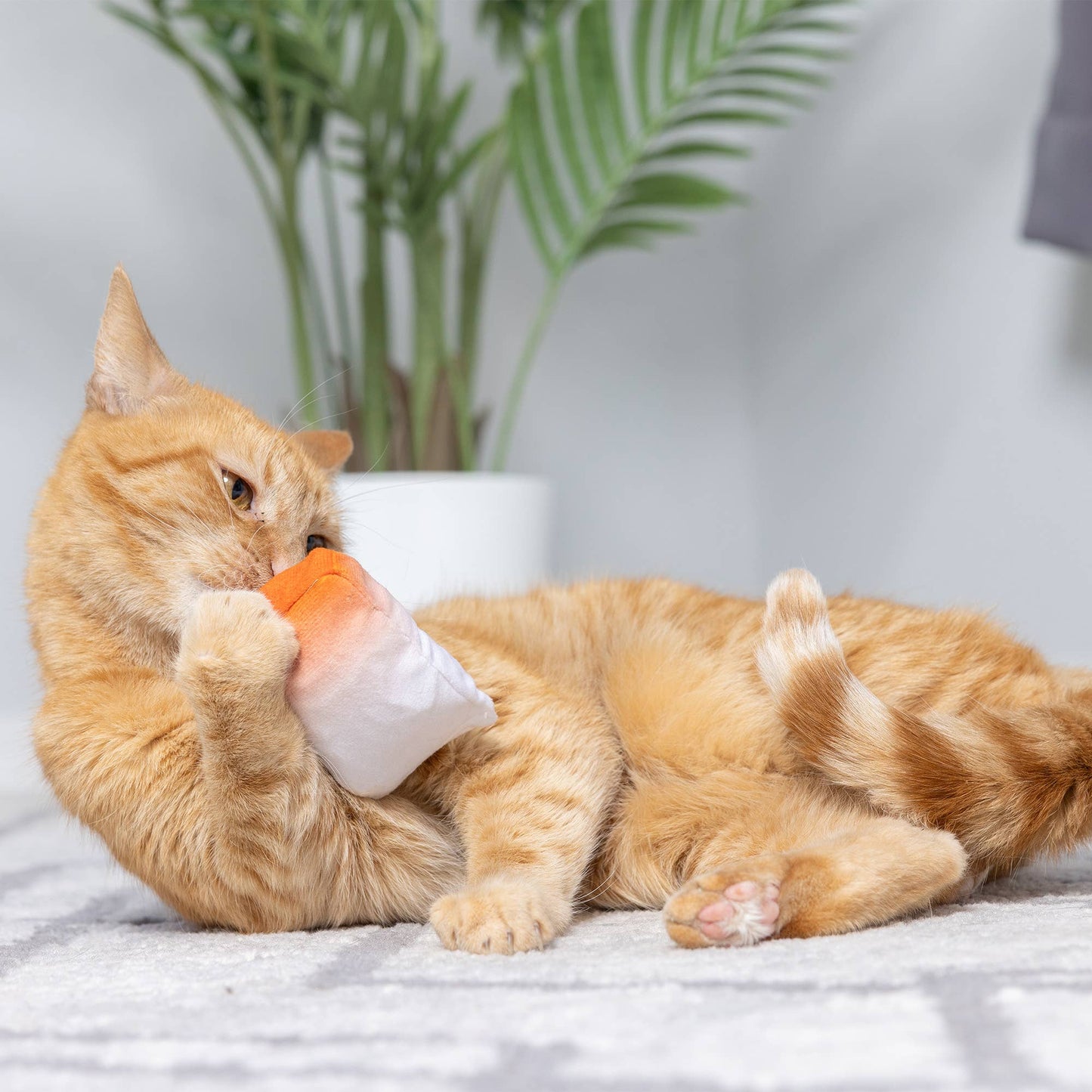 Huxley & Kent - Go Fish Phishy Cat Toy: One Size