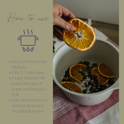 Simmer and Co Natural Aroma - Holiday | Be Celebrated Simmer Pot Mix, Stovetop Potpourri