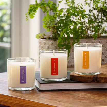 KOBO - Sweet Sunflower - Plant the Box Candle - 9oz.