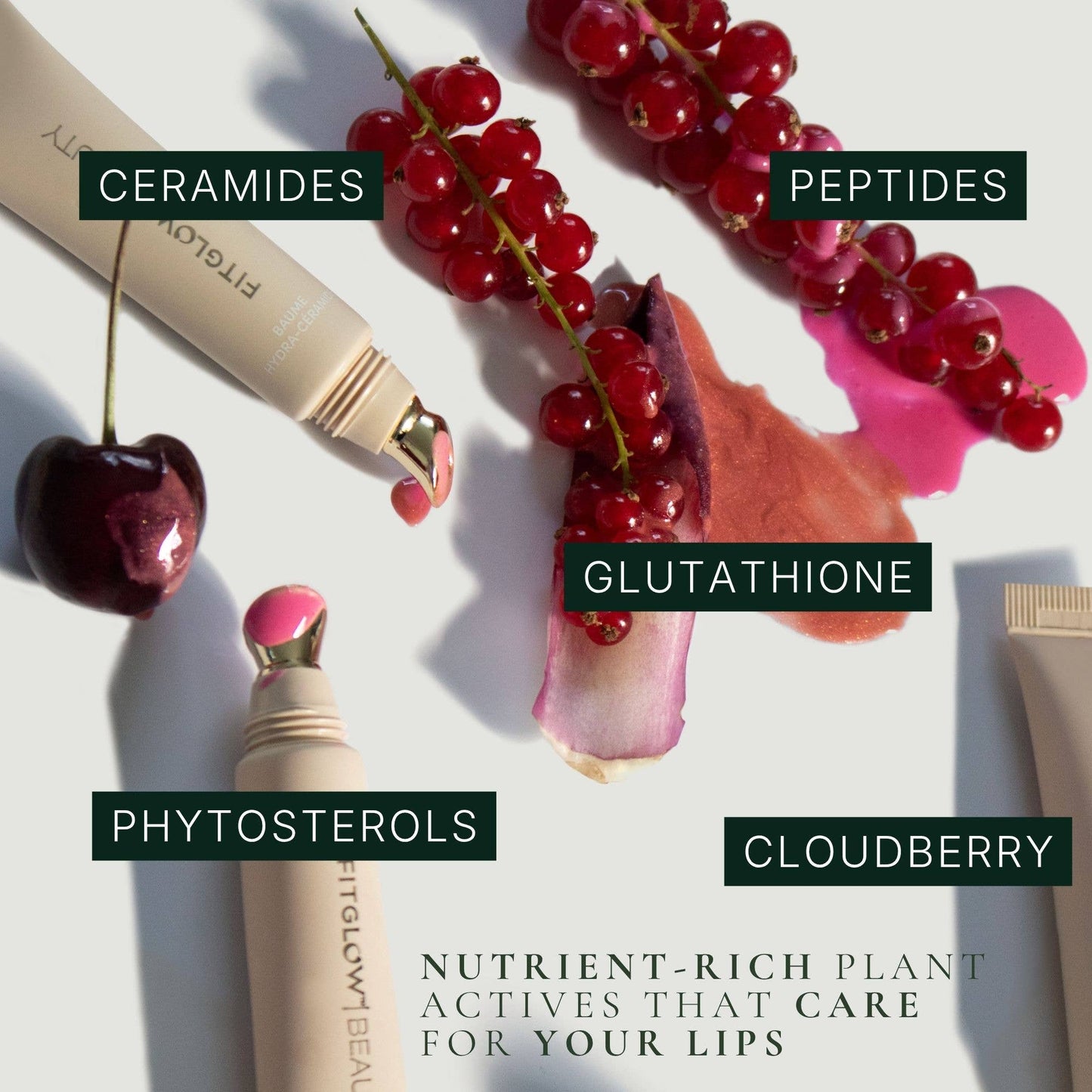 Fitglow Beauty - Ceramide Hydra-Balm - Plum Dew (Limited Edition)
