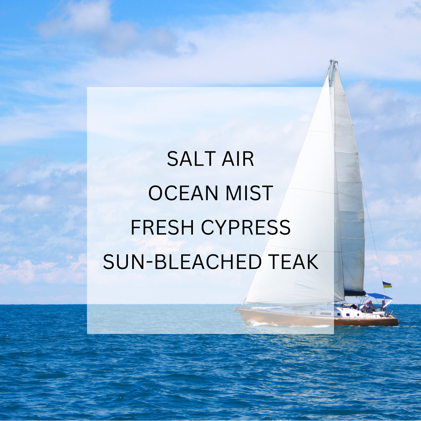 Solisea - SAILOR Roller Oil Perfume • Salt Air & Cypress: Travel / Mini