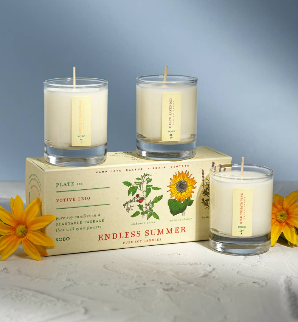 KOBO - Endless Summer - Plant the Box Votive Candle Trio