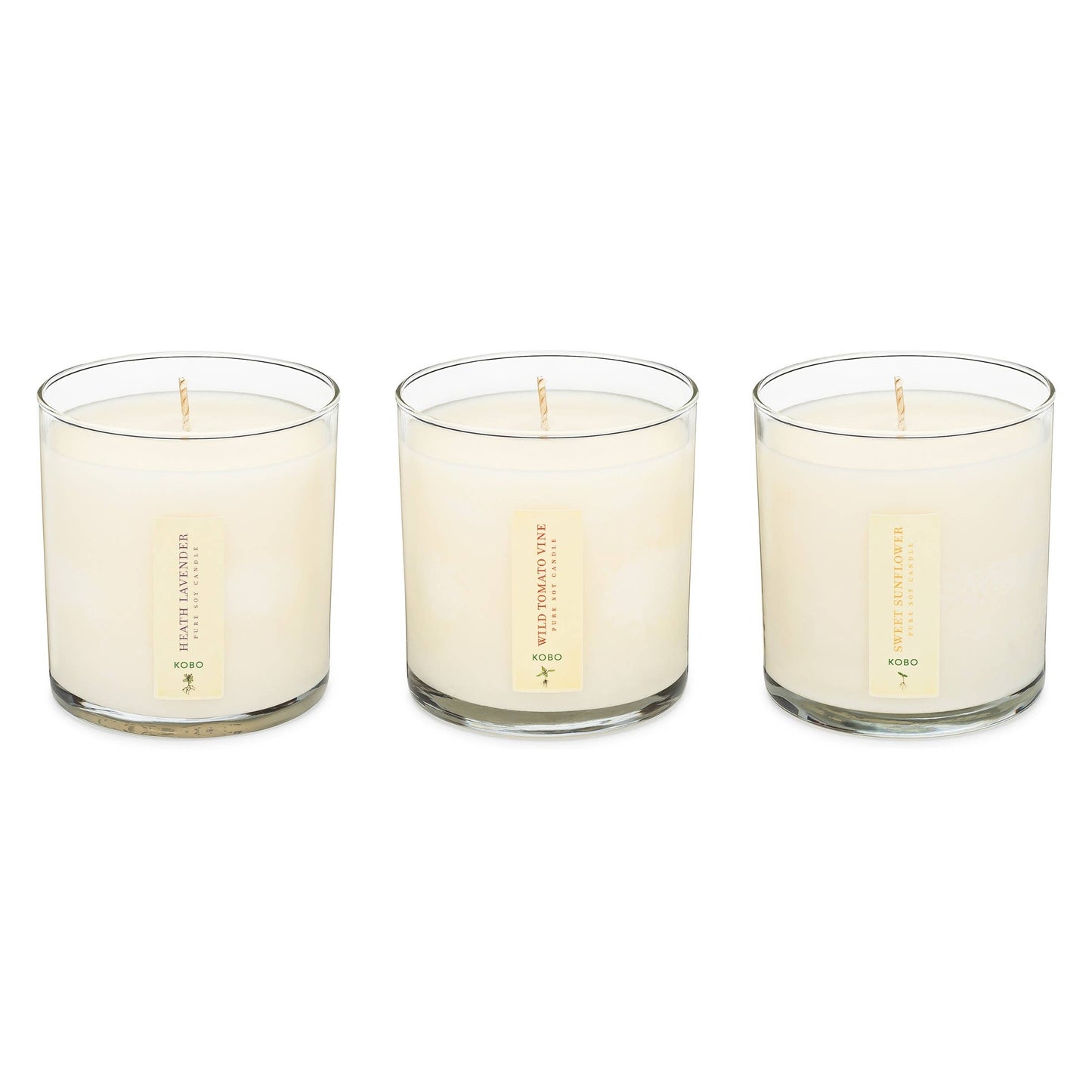KOBO - Endless Summer - Plant the Box Votive Candle Trio