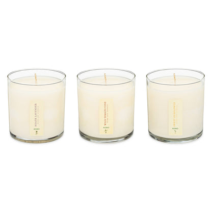 KOBO - Endless Summer - Plant the Box Votive Candle Trio