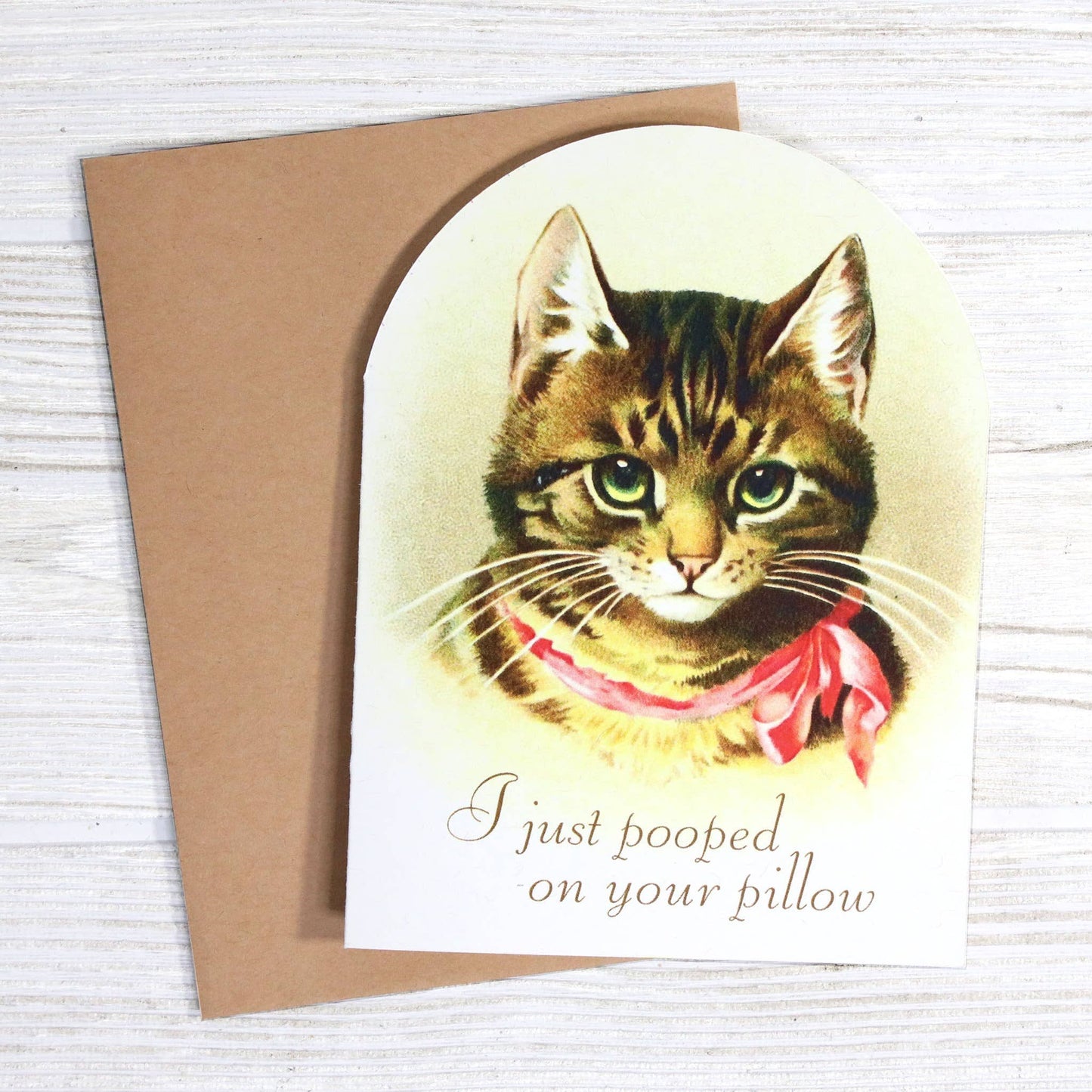 Bad Betty Greeting Co. - I Just Pooped on Your Pillow - Funny Cat Lover Card