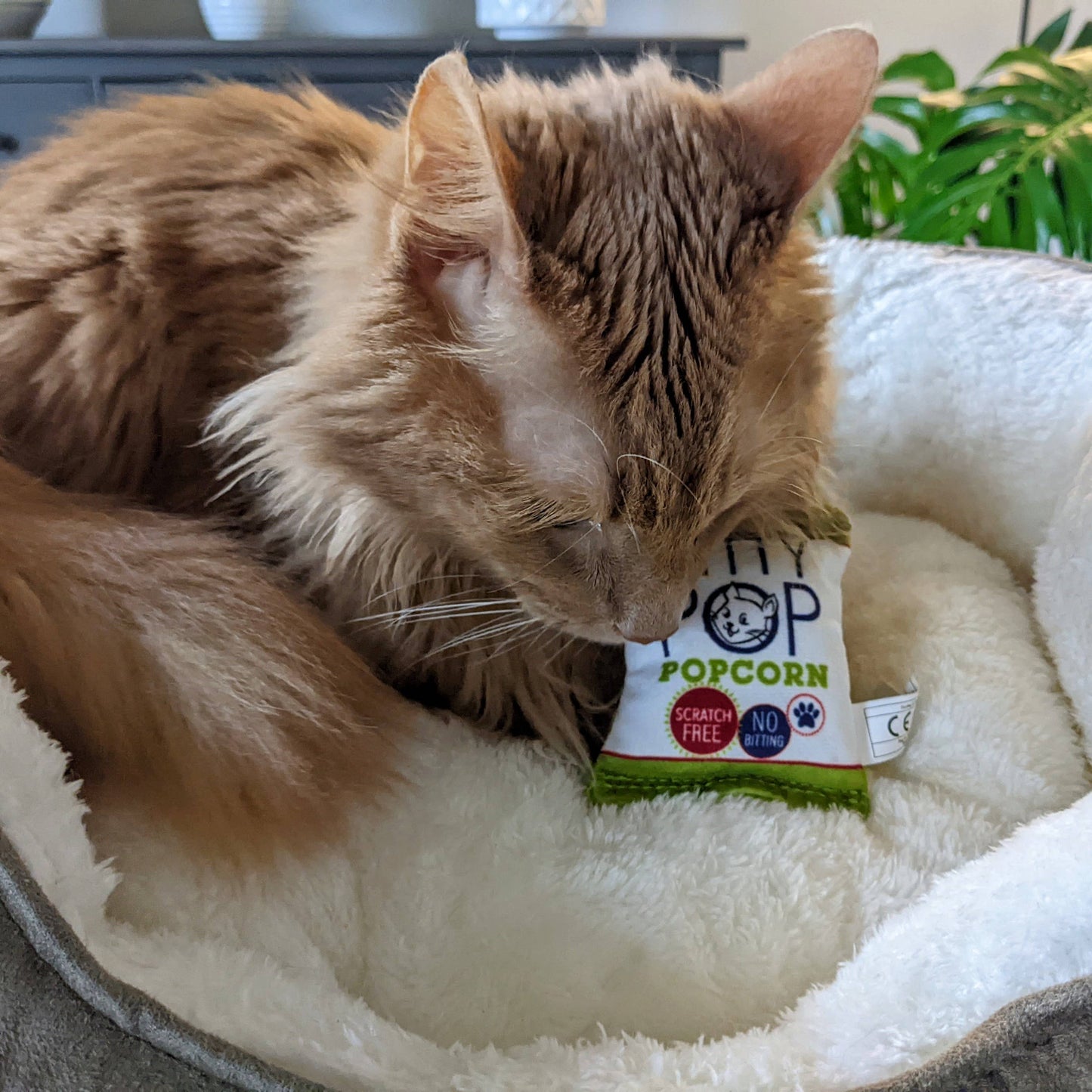 Huxley & Kent - Kitty Pop Cat Toy