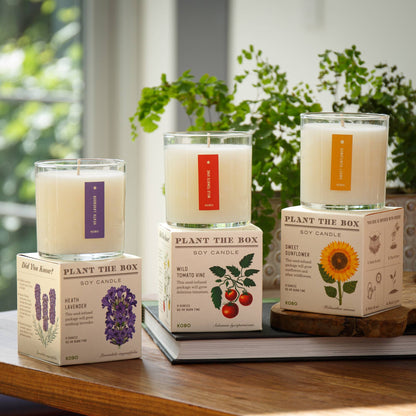 KOBO - Sweet Sunflower - Plant the Box Candle - 9oz.